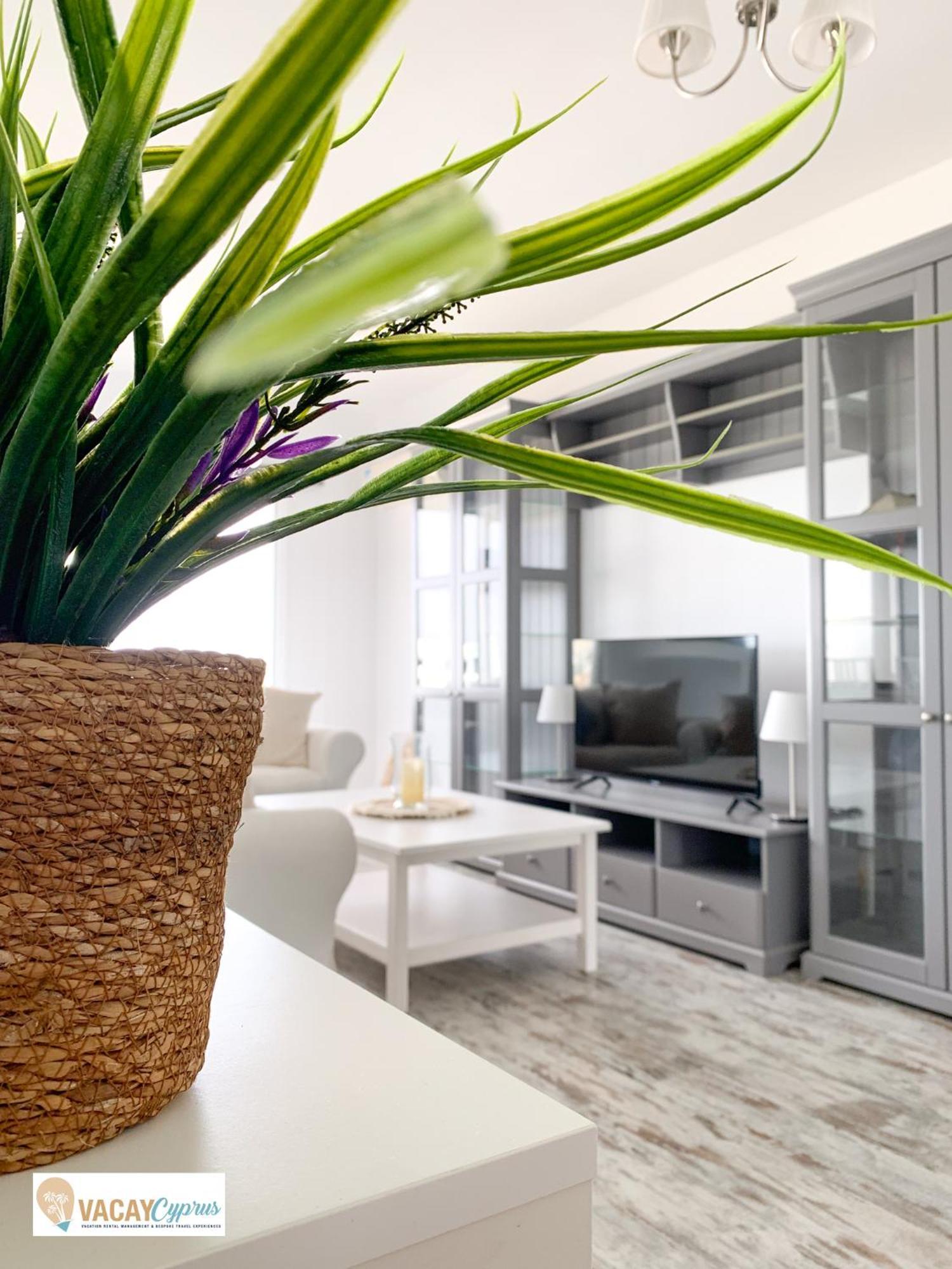 Downtown Apartment